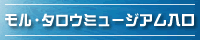 �����E�^���E�~���[�W�A������